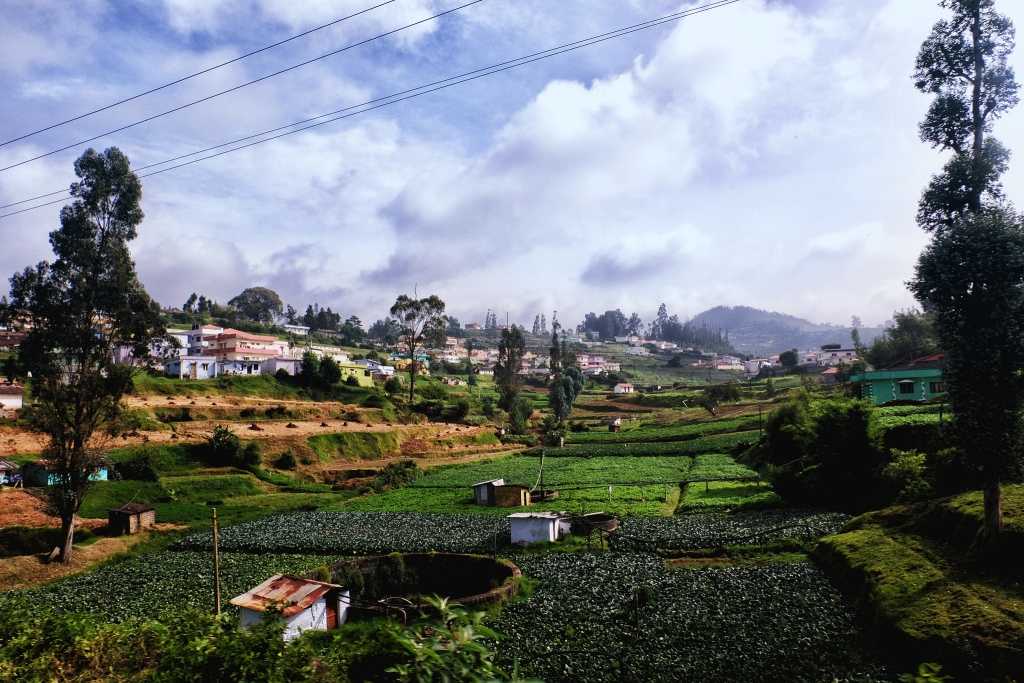 Experience the Natural Bliss of Ooty