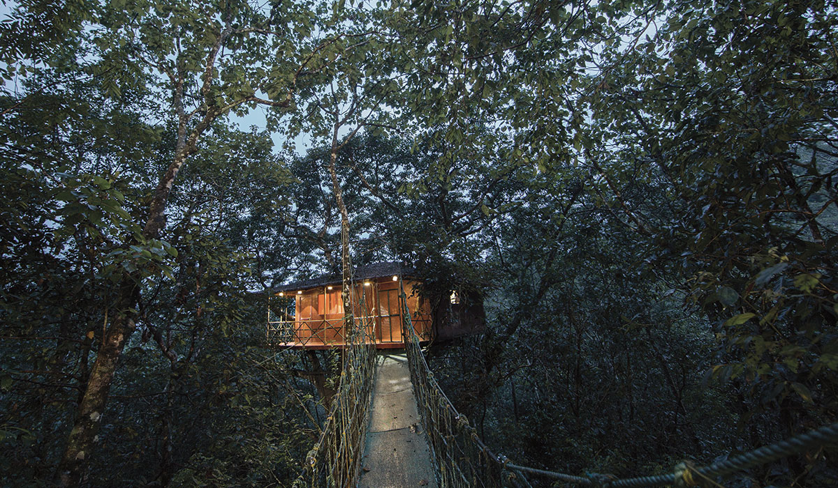 tree house in Kerala
