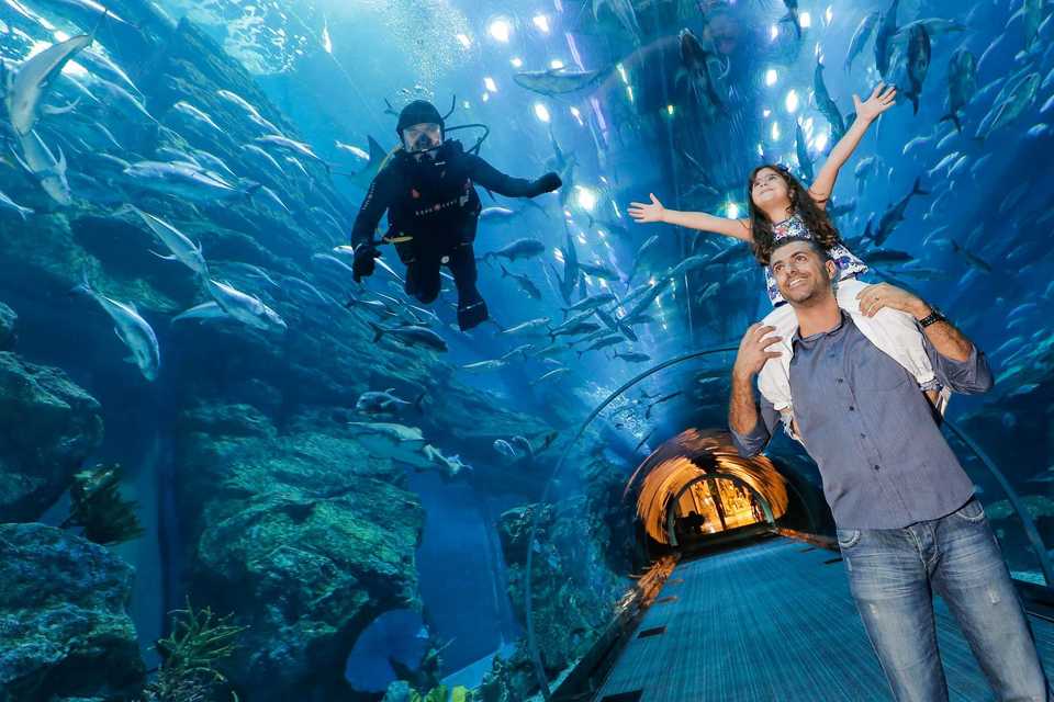 31 Best Things to Do in Dubai – Don’t Forget to Try during Honeymoon ...