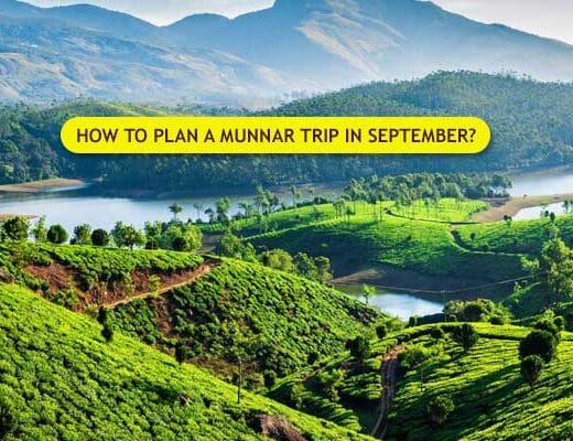 How to Plan A Munnar Trip in September?