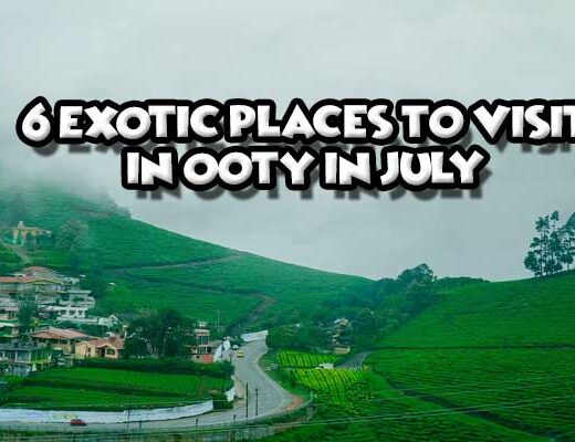 6 Exotic Places to Visit in Ooty in July 2024